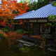 Illustration for article titled Bad Tourists Lead to Photography Ban at Japanese Temples